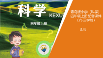 2020新青岛版（六三制）四年级上册科学3.《鸟》教学ppt课件（含教案）