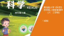 新青岛版（六三制）四年级上册科学1《蚂蚁》（课件+教案）