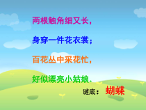 美术【赣美版】一年级下册《第3课 漂亮的蝴蝶》PPT课件2