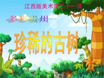 美术【赣美版】二年级下册《珍稀的古树》PPT课件1