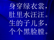 美术【赣美版】三年级下册《第4课 瓜果飘香》PPT课件1