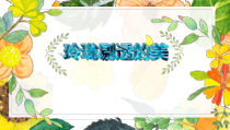 美术【赣美版】四年级下册《第10课 玲珑剔透的美》PPT课件2
