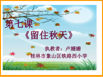 美术【赣美版】四年级下册《第16课 奇妙的图形》PPT课7