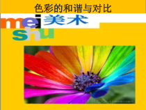美术【赣美版】五年级下册《第13课 色彩的和谐与对比》PPT课件2