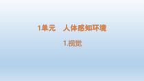 小学科学青岛版六三制六年级下册第一单元第1课《视觉》课件（2023春）