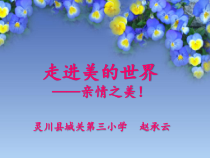 心理健康【甘少儿版】四年级下册第11课《走进美的世界》PPT课件