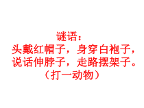音乐【花城版】二年级上册《歌曲《老爷爷赶鹅》PPT课件7