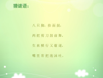 音乐【花城版】二年级上册《歌曲《螃蟹歌》PPT课件2