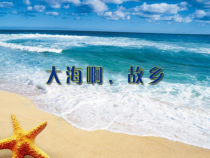 音乐【花城版】三年级上册《歌曲《大海啊，故乡》PPT课件2