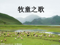 音乐【花城版】三年级上册《歌曲《牧童之歌》PPT课件1