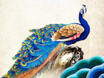 音乐【花城版】三年级上册《歌舞曲《金孔雀轻轻跳》PPT课件3
