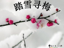 音乐【花城版】五年级上册《歌曲《踏雪寻梅》PPT课件1