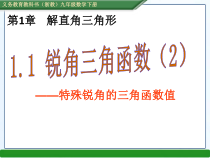 《1.1 锐角三角函数》PPT课件2-九年级下册数学浙教版