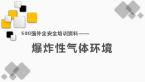 爆炸性气体环境企安全培训资料