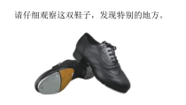 音乐【花城版】六年级下册《欣赏 爱尔兰踢踏舞曲《王者之舞》PPT课件2