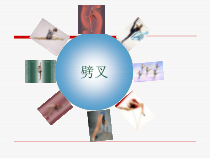 体育【冀教版】一至二年级《发展柔韧性练习》PPT课件11