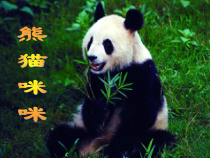 艺术【教科版】一年级下册6.1《熊猫咪咪》PPT课件1