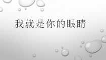 艺术【教科版】二年级下册7.1《我就是你的眼睛》PPT课件1