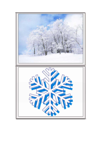 艺术【教科版】二年级下册8.2《晶莹的雪花》教案2