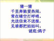艺术【教科版】六年级上册5.1《哭泣的和平鸽》PPT课件