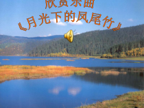 音乐【冀少版】二年级上册《金孔雀轻轻跳》PPT课件5