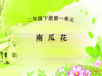 音乐【冀少版】二年级下册《南瓜花》PPT课件2