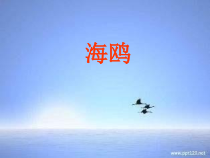 音乐【冀少版】三年级下册《海鸥》PPT课件3