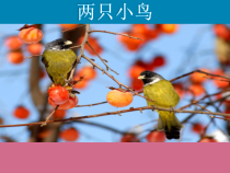音乐【冀少版】三年级下册《两只小鸟》PPT课件2