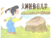 音乐【冀少版】四年级下册《大树桩你有几岁》PPT课件1
