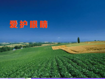 心理健康【黑教版】一年级上册第2课《爱护眼睛2》PPT课件