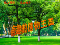 心理健康【黑教版】三年级上册第1课《有趣的植物王国》PPT课件