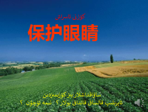 心理健康【华中师大版】四年级3《可爱的人》PPT课件