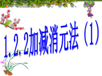 《1.2.2加减消元法（1）》PPT课件1-七年级下册数学湘教版