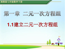 《1.1 建立二元一次方程组》PPT课件1-七年级下册数学湘教版