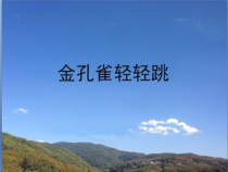 音乐【接力版】三年级上册《（演唱）金孔雀轻轻跳》PPT课件4