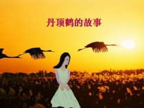 音乐【接力版】四年级下册《（听赏）丹顶鹤的故事（女声独唱）》PPT课件1