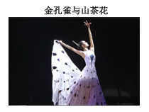 音乐【接力版】四年级下册《（演唱）金孔雀与山茶花》PPT课件2