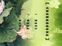 体育【科学版】小学二年级《第38课 投掷：持轻物掷远》PPT课件6