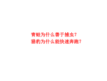 体育【科学版】小学三年级《第1课 体育与健康基础知识：身体各部位名称》PPT课件2