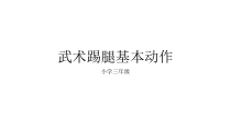 体育【科学版】小学三年级《第11课 武术：正踢腿、侧踢腿》PPT课件1