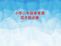 体育【科学版】小学三年级《武术：组合动作练习》PPT课件4