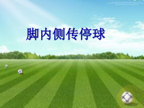 体育【科学版】小学三年级《小足球：脚背内侧传球》PPT课件4
