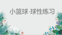 体育【科学版】小学四年级《小篮球：球性练习》PPT课件2