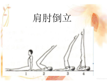体育【科学版】小学五年级《第3课 技巧：肩肘倒立》PPT课件3