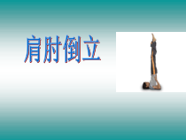 体育【科学版】小学五年级《第5课 技巧：肩肘倒立》PPT课件1