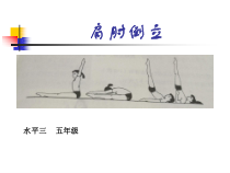 体育【科学版】小学五年级《第3课 技巧：肩肘倒立》PPT课件1