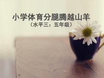 体育【科学版】小学五年级《第13课 山羊：分腿腾越》PPT课件2
