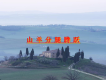 体育【科学版】小学五年级《第13课 山羊：分腿腾越》PPT课件3