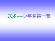体育【科学版】小学六年级《第2课 复习少年拳（第一套）》PPT课件1
