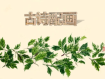 信息技术【冀教版】三年级下册第17课《古诗配画》PPT课件（共20页）
